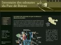 Inventaire des odonates du parc de Brieux à Maizières-lès-Metz